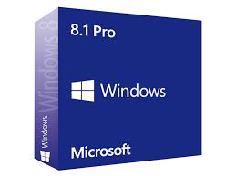 Windows 8.1 Pro 64 bit OEM